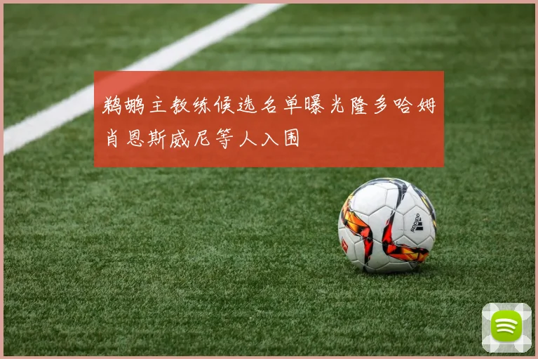 鹈鹕主教练候选名单曝光隆多哈姆肖恩斯威尼等人入围
